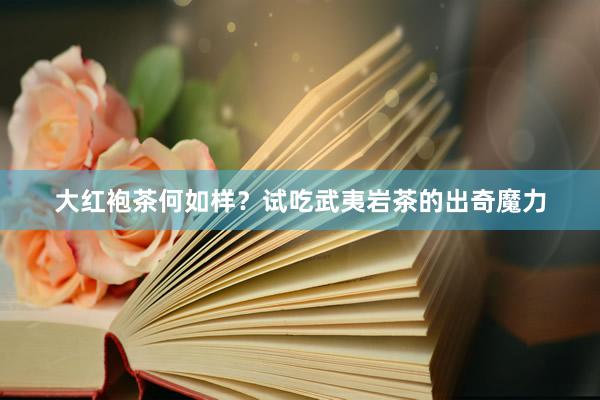 大红袍茶何如样？试吃武夷岩茶的出奇魔力