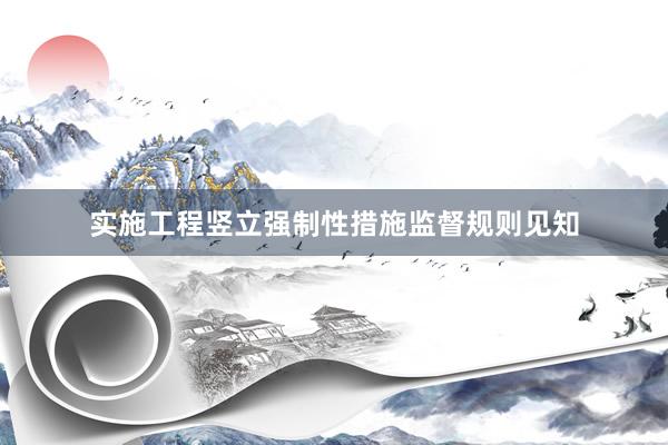 实施工程竖立强制性措施监督规则见知
